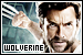  Marvel: Wolverine: 