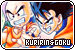  Goku & Krillin: 